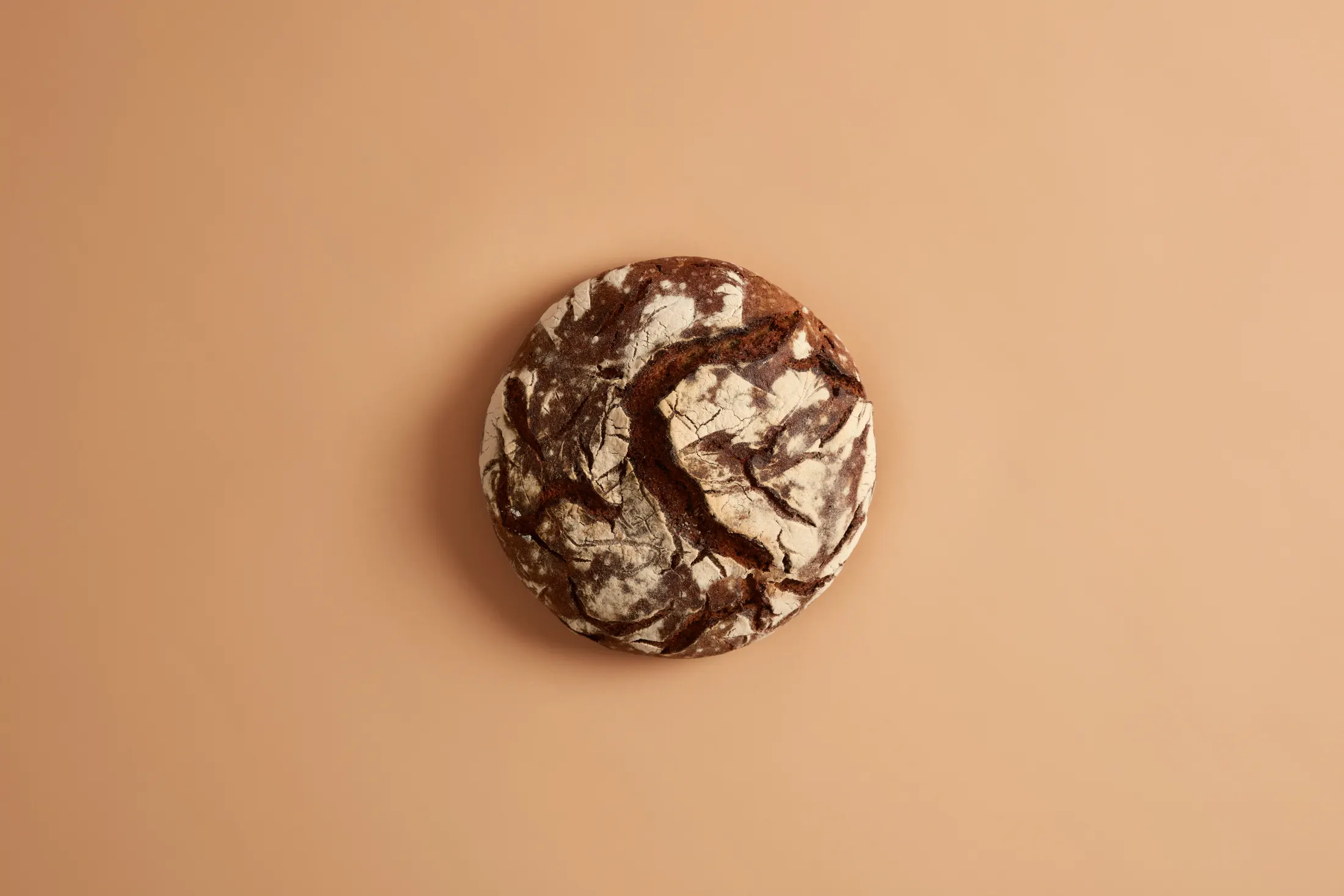 Rustic round bread on warm studio background